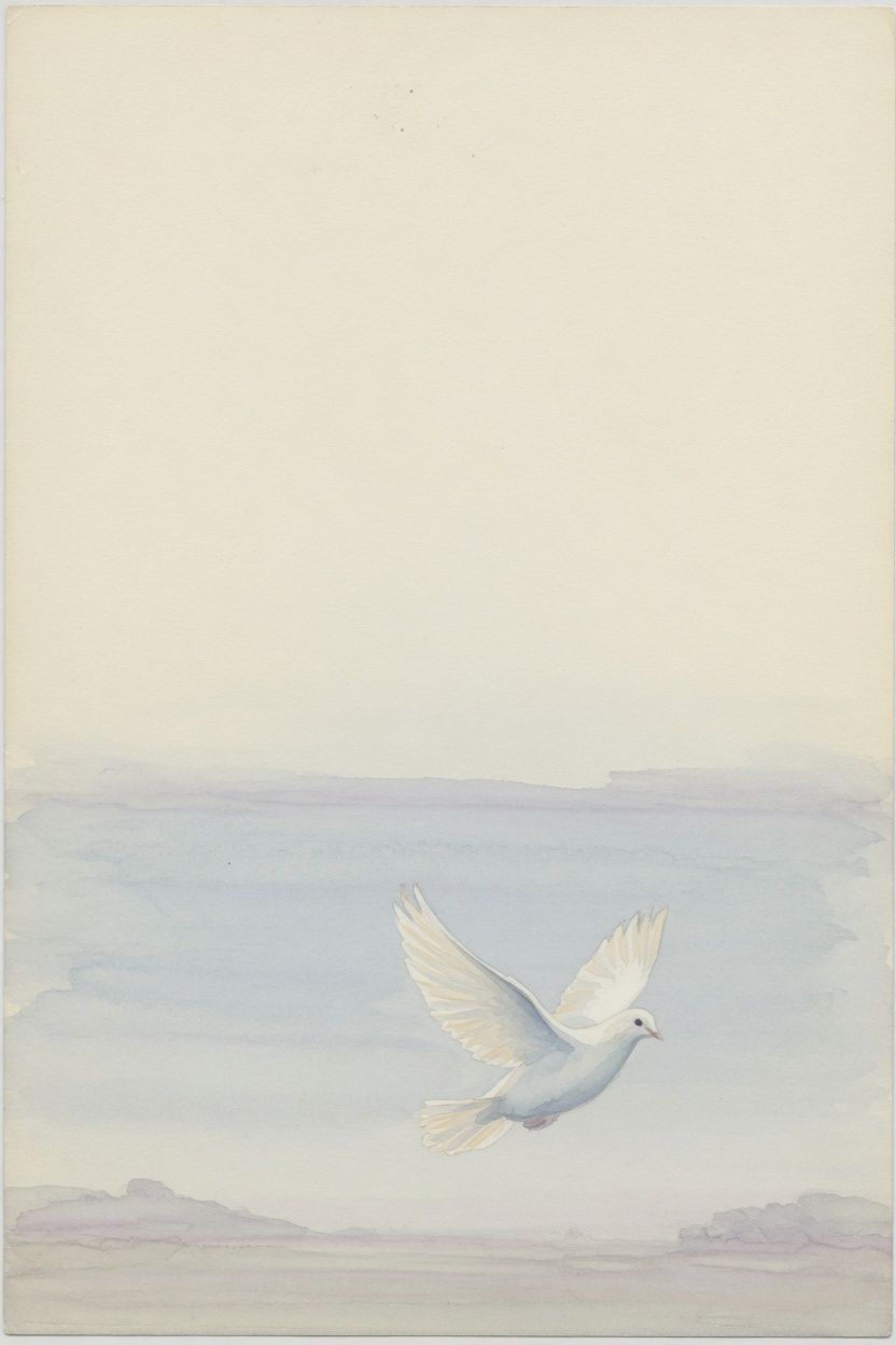 Dove booklet design